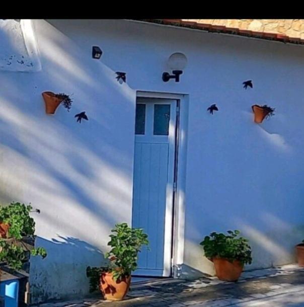 Appartement Anexo Na Quintinha à Caldas Da Rainha Extérieur photo